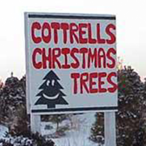 Cottrells Christmas Trees